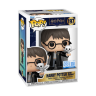 ФІГУРКА FUNKO POP HARRY POTTER WITH HEDWIG / ФАНКО ПОП ГАРРІ ПОТТЕР - фото 2